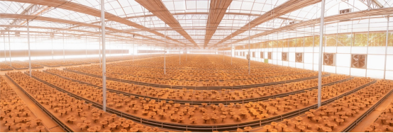 科技铸就标准，标准赢得信赖——寿仙谷以“科技+标准”打破世界对中医药的“认知壁垒”