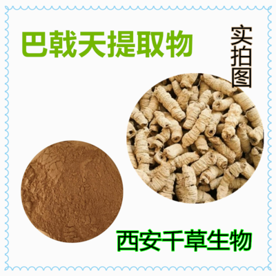 血竭提取物粉