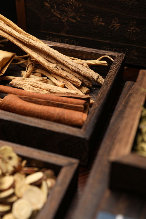 烟桂桂通中药材中草药中药摄影图 摄影