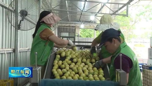 一年478万元！粤西小镇的‘甜蜜事业’ 富硒农产品卖爆全国