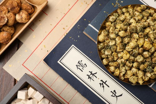 胎菊与中药文化的美学呈现